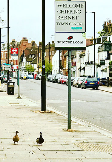 Welcome to Chipping Barnet
